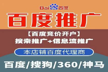 成功案例分享：SEM竞价代运营策略解析